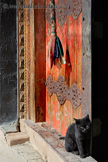 cat-at-door-02.jpg