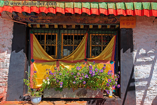 colorful-flowers-n-window.jpg