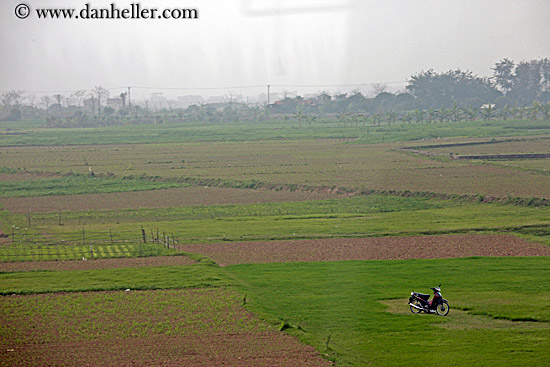 motorcycle-in-field.jpg