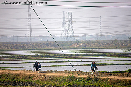 bikes-n-rice-fields-n-telephone-wires-1.jpg