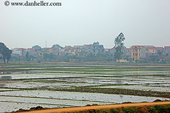 hazy-rice-fields-01.jpg