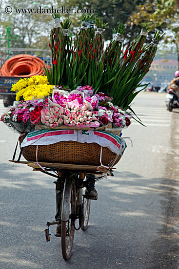 misc-flower-bike-6.jpg