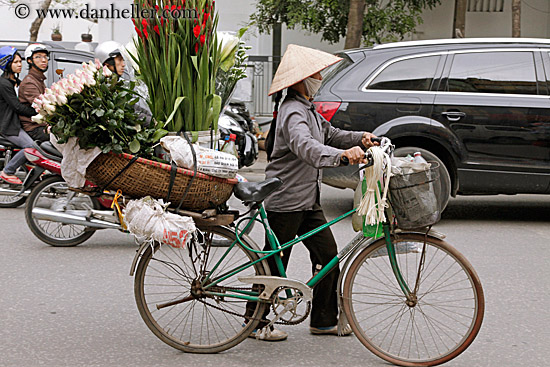 misc-flower-bike-8.jpg