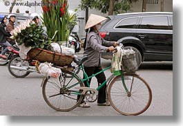 images/Asia/Vietnam/Hanoi/Bikes/Flowers/misc-flower-bike-8.jpg