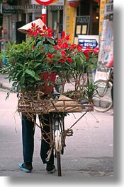 images/Asia/Vietnam/Hanoi/Bikes/Flowers/misc-flower-bike-9.jpg