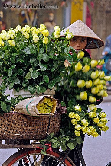 yellow-flower-bike-1.jpg