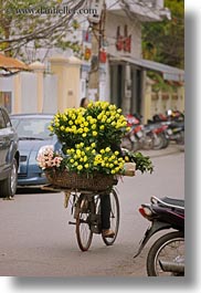 images/Asia/Vietnam/Hanoi/Bikes/Flowers/yellow-flower-bike-4.jpg
