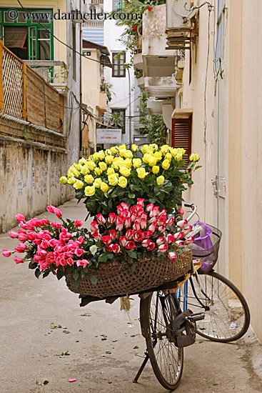 yellow-n-pink-flower-bike-2.jpg