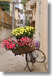 images/Asia/Vietnam/Hanoi/Bikes/Flowers/yellow-n-pink-flower-bike-2.jpg