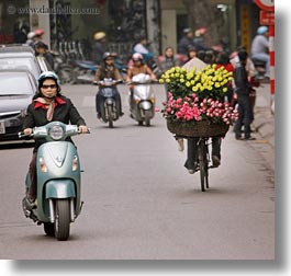 images/Asia/Vietnam/Hanoi/Bikes/Flowers/yellow-n-pink-flower-bike-4.jpg