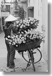 images/Asia/Vietnam/Hanoi/Bikes/Flowers/yellow-n-pink-flower-vendor-3-bw.jpg