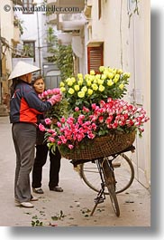 images/Asia/Vietnam/Hanoi/Bikes/Flowers/yellow-n-pink-flower-vendor-4.jpg