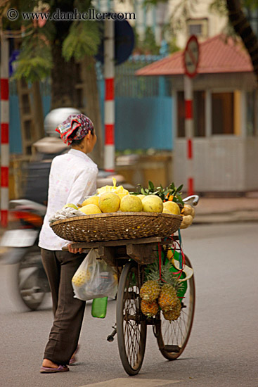 melons-on-bike-09.jpg