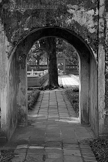 archway-n-tree-1-bw.jpg