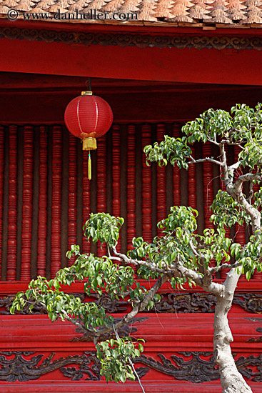 red-lantern-n-green-tree-leaves-2.jpg