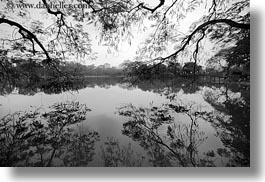 images/Asia/Vietnam/Hanoi/Lake/branches-n-water-reflection-2-bw.jpg
