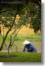 images/Asia/Vietnam/Hanoi/People/Gardeners/gardening-women-in-blue-w-white-conical-hats-3.jpg