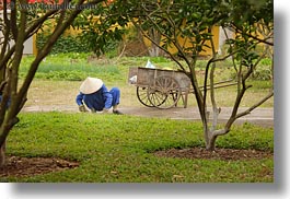 images/Asia/Vietnam/Hanoi/People/Gardeners/gardening-women-in-blue-w-white-conical-hats-4.jpg