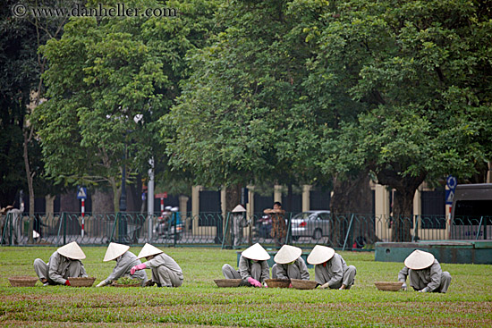 gardening-women-in-grey-w-white-conical-hats-1.jpg