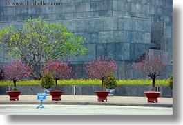 images/Asia/Vietnam/Hanoi/PresidentialPalace/potted-flowers-2.jpg