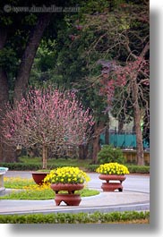 images/Asia/Vietnam/Hanoi/PresidentialPalace/potted-flowers-3.jpg