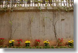 images/Asia/Vietnam/Hanoi/Prison/flowers-n-concrete-wall-1.jpg