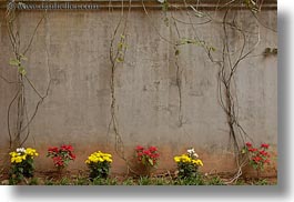 images/Asia/Vietnam/Hanoi/Prison/flowers-n-concrete-wall-2.jpg
