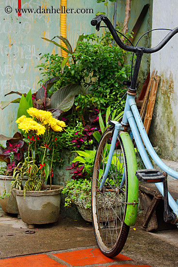 light-blue-bike-n-flowers-1.jpg