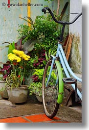 images/Asia/Vietnam/HoiAn/Bikes/light-blue-bike-n-flowers-1.jpg