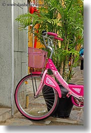 images/Asia/Vietnam/HoiAn/Bikes/pink-bike-n-plant.jpg