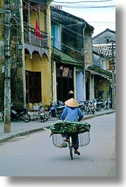 images/Asia/Vietnam/HoiAn/Bikes/woman-riding-bicycle-3.jpg