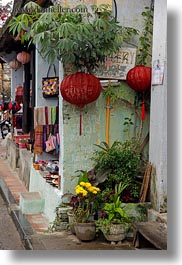 images/Asia/Vietnam/HoiAn/Flowers/flowers-n-red-lantern.jpg