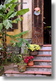 images/Asia/Vietnam/HoiAn/Flowers/flowers-on-stairs.jpg