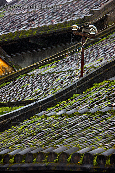 roof-n-electric-wires2.jpg