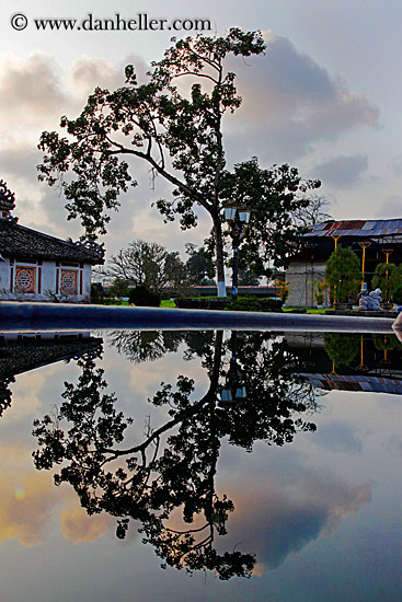 tree-reflection-in-water.jpg