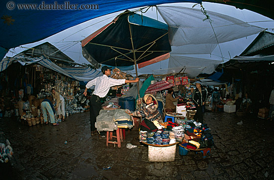 man-helping-w-umbrella.jpg