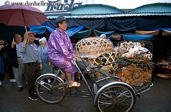 man-riding-rickshaw-bike.jpg