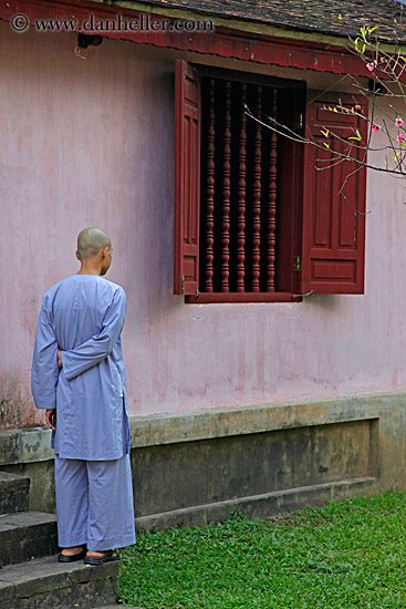 blue-monk-n-window.jpg