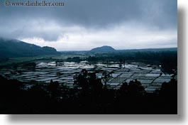 images/Asia/Vietnam/Landscapes/flooded-rice-fields-3.jpg