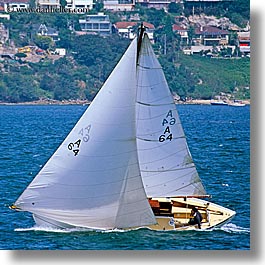 images/Australia/Sydney/Boats/sailboat-5.jpg
