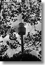images/Australia/Sydney/Buildings/space_needle-n-leaves-bw.jpg