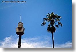 images/Australia/Sydney/Buildings/space_needle-n-palm_tree.jpg