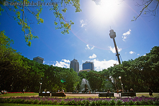 space_needle-n-park.jpg