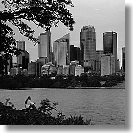 australia, black and white, branches, buildings, cityscapes, nature, people, plants, square format, structures, sydney, trees, womens, photograph