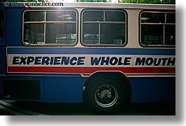 images/Australia/Sydney/Misc/experience-whole-mouth-bus-sign.jpg