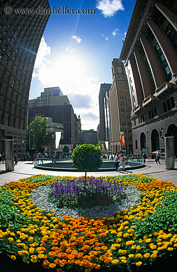 flowers-n-bldgs-01.jpg