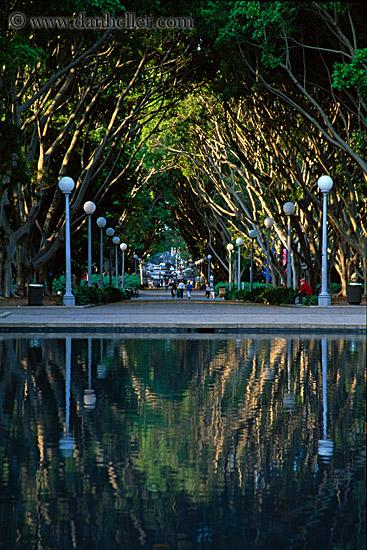 tree-tunnel-w-lamp_posts-01.jpg