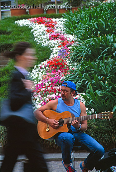 guitar-player-n-flowers-1.jpg