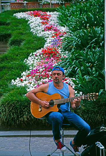 guitar-player-n-flowers-2.jpg