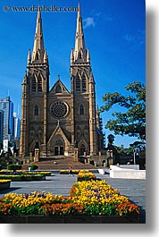 images/Australia/Sydney/StMarysCathedral/church-n-flowers-1.jpg